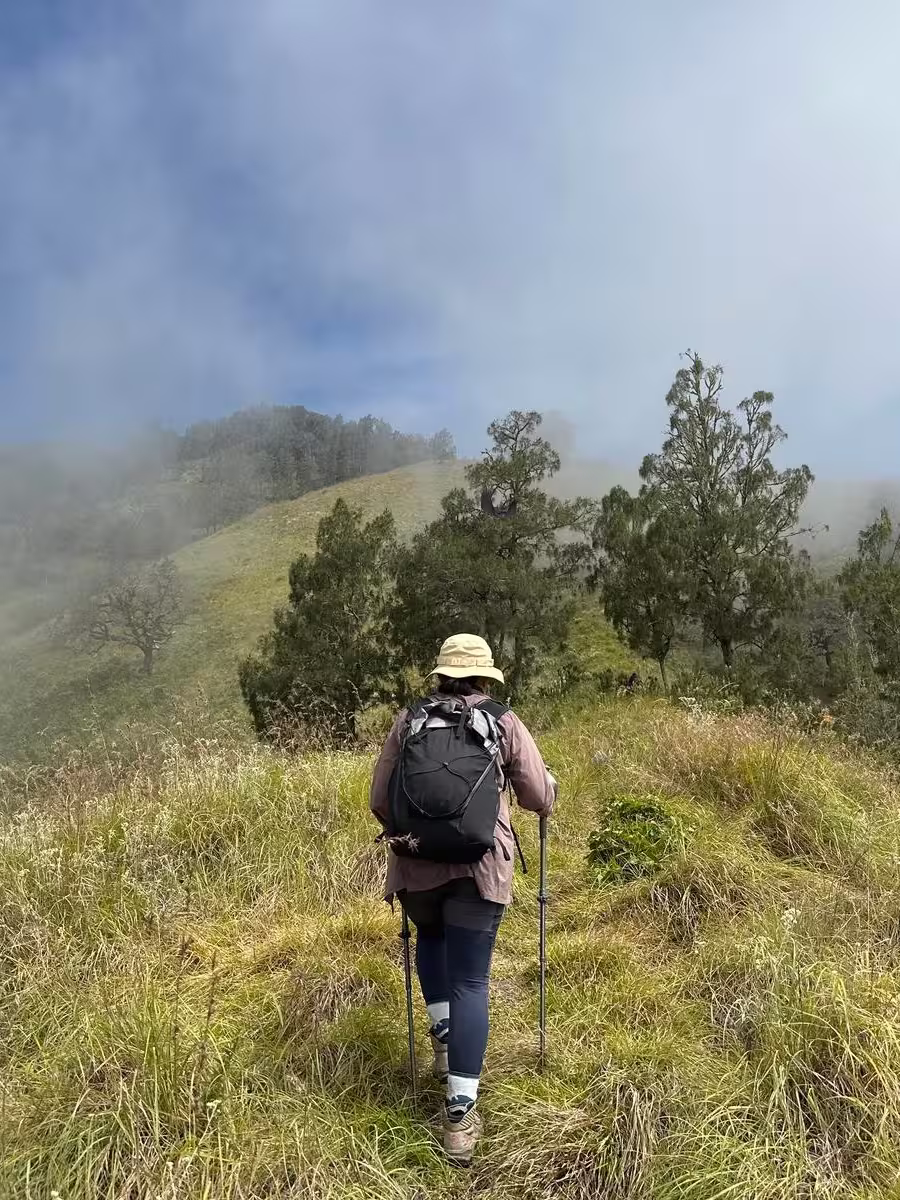Dense and lush untouched rainforest on the upper slopes of Mount Stampol in Rinjani National Park