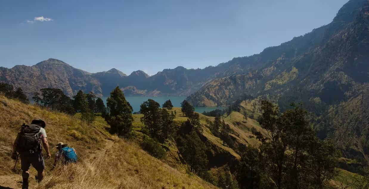 Trekkers descending a grassy slope through scattered pine trees toward Segara Anak lake on the Senaru route of the Mount Rinjani trek