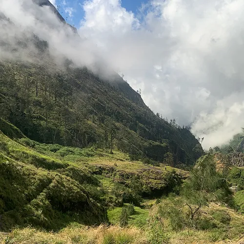 A hiker strolls down a scenic mountain trail on a 3-day trek to Mount Rinjani from Torean A hiker strolls down a scenic mountain trail on a 3-day trek to Mount Rinjani from Torean